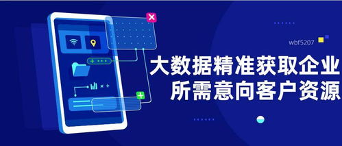 大數(shù)據(jù)精準(zhǔn)營(yíng)銷(xiāo) 破解飛蜥等企業(yè)起步獲客難題的利器